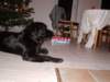 Photo Number 32